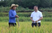 兵支书①｜谢时文：从“砂场废墟”到“甜蜜果园”的逆袭战